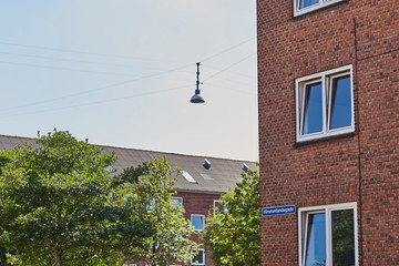 Building and green leaves