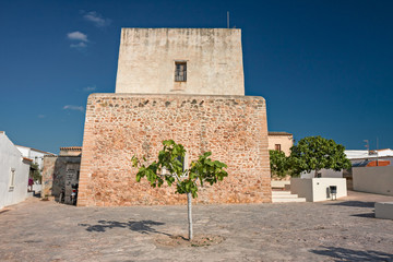Panoramic view of typical Spanish houses of Formentera in the Balearic Islands.