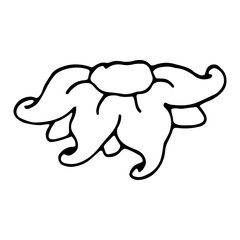 Large doodle flower with petals. Hand drawn vector. Isolated on white background.