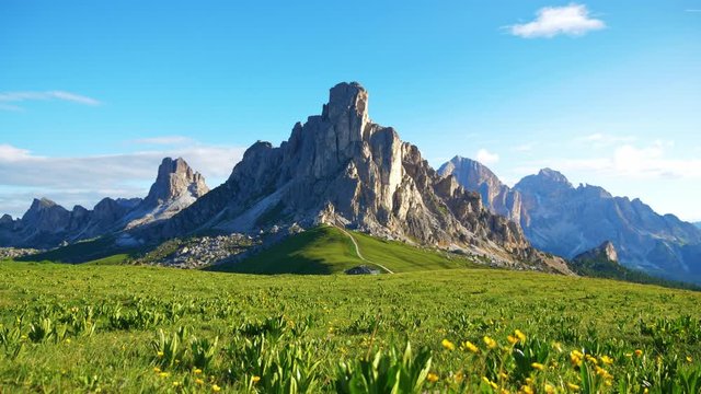 The green grassland and wildflowers before the Dolomites in Italy on a sunny day