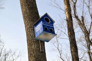 Blue wooden birdhouse with painted windows and three holes. It hanging on the tree in forest on sky background. Early spring, Russia