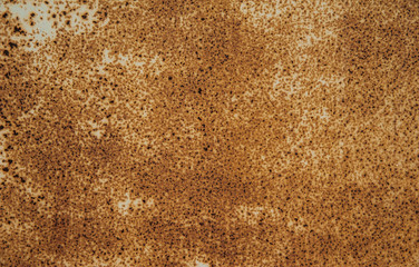Painted in a light gray color, the old metal surface with many small rusty spots. Abstract background, texture.