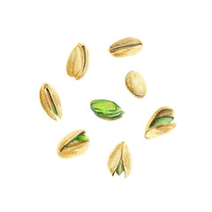 Set of pistachios on a white background. Peeled nuts and whole nuts in shell. Drawing with colored pencils.