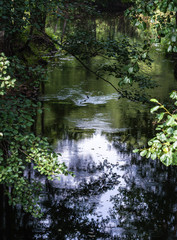 the reflection in the water, the mysterious view of the river, games of light and shadow, focus and sharpness on certain areas.