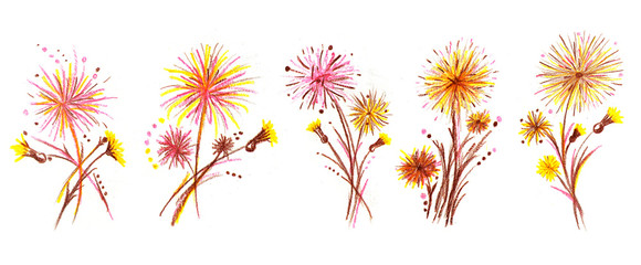 Summer flower dandelion. Pencil illustration.