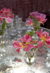 Table decorated with pink azalea flowers in glass crystal vases.