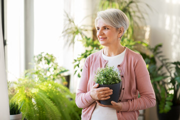 people, housework and plants care concept - happy smiling senior woman with flower in pot at home