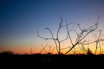Lev&eacute; de soleil en hiver dans le sud de la France 