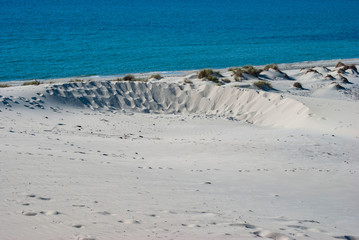 Le bianche dune di Is Arenas Biancas a Teulada