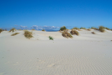 Le bianche dune di Is Arenas Biancas a Teulada