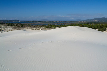 Fototapeta na wymiar Le bianche dune di Is Arenas Biancas a Teulada