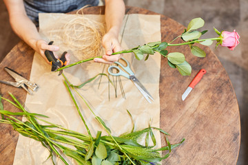Florist cuts a rose with a flower scissors