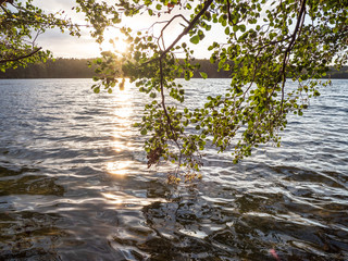 Kalksee lake in Brandenburg, Germany