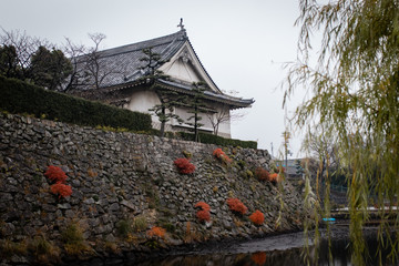 Naklejka premium Kishiwada castle, Japan