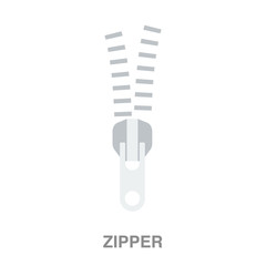 zipper flat icon on white transparent background. You can be used black ant icon for several purposes.	