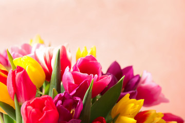 Beautiful spring tulips on light pink background, closeup