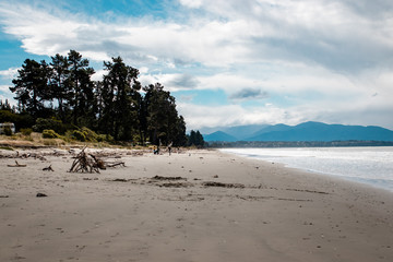 beach and the sea