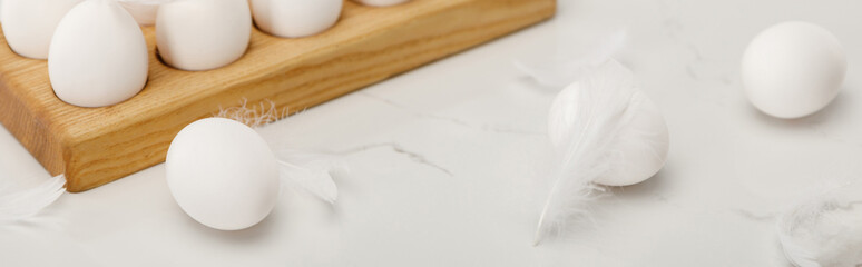 Chicken eggs on wooden board and feathers on white background, panoramic shot