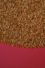 Buckwheat. Raw buckwheat groats close-up on a  red background.Cereals. Healthy eating. Buckwheat porridge.top view, copy space.