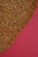 Buckwheat. Raw buckwheat groats  on a bright red background.Cereals. Healthy eating. Buckwheat porridge.top view, copy space.