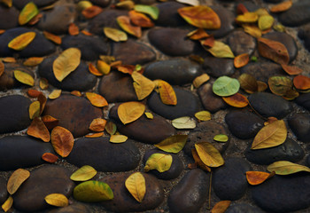 The dry leaves have fallen on the cobblestones