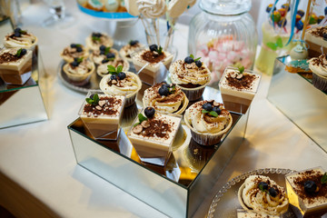 sweet cupcakes and cookies for children on birthday