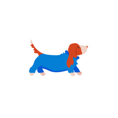 Funny cartoon style icon of basset hound in overalls for different design. Cute family dog.