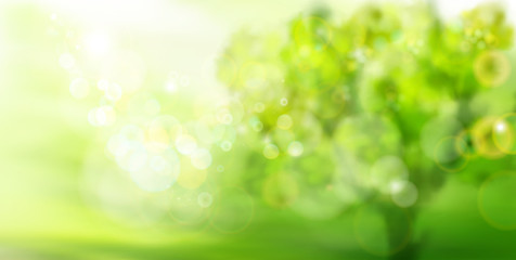 Green garden in strong sunlight. Abstract nature background. Fresh plants. Spring landscape with soft bokeh. Vector illustration.