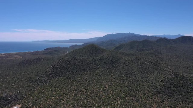 baja california mexico cactus landscape aerial