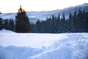 Empty road covered with snow on winter day