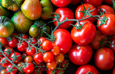 Overhead view of a variety of tomatoes