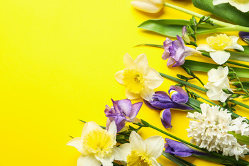 Flat lay composition with spring flowers on yellow background. Space for text