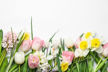 Obraz na płótnie Canvas Beautiful spring flowers on white background, top view