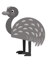 cartoon australian scene with happy and funny bird rhea on white background - illustration