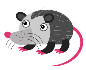 cartoon american scene with happy and funny opossum on white background - illustration