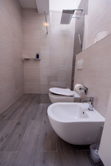 luxury stylish bathroom interior