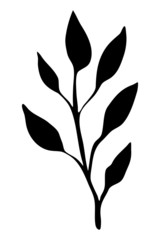 Vector silhouette of a branch with leaves. Botanical element for the design and decoration of cards, invitations, printing on fabric.