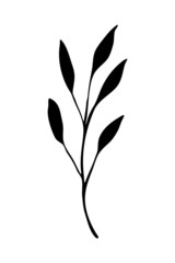 Vector silhouette of a branch with leaves. Botanical element for the design and decoration of cards, invitations, printing on fabric, clothing, products.