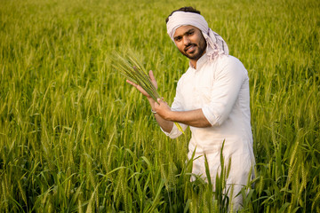 Happy Indian farmer talking on phone in wheat field © Ankit