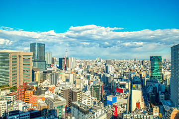 Fototapeta premium 東京の都市景観（御茶ノ水付近よりスカイツリー方向を見渡す）