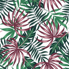 Summer seamless tropical pattern with leaves and plants on white background. Floral tropical pattern with leaves, jungle leaf. Exotic wallpaper, Hawaiian style. Vector background for various surface.