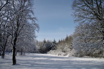 Winterlandschaft