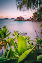 La Digue Island, Seychelles. Beautiful tropical sandy beach with exotic plants in evening sunset lilac light. Vacation holiday concept