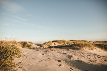 Morgenlicht in Dänemark