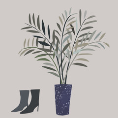 アレカヤシ　ヤシの葉　観葉植物　ブーツ　Areca palm　boots
