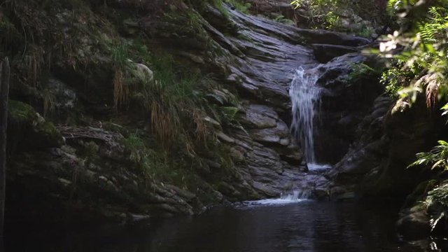 Slow flowing waterfall, Jubilee Creek Knysna Forest,