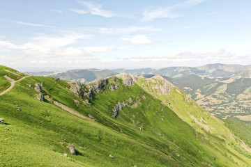 Fototapeta na wymiar Montagne dans le Cantal