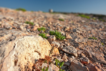 Panoramic view of an ancient watchtower on the cliffs of Formentera in the Balearic Islands in Spain.