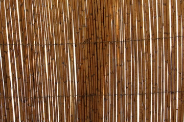 bamboo texture background