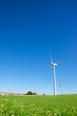 Windmills and green meadow
